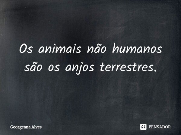 ⁠Os animais não humanos são os anjos terrestres.... Frase de Georgeana Alves.