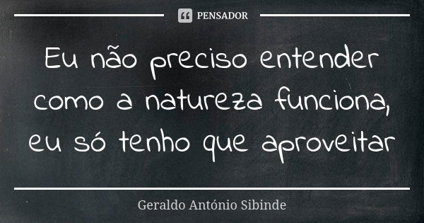 Eu não preciso entender como a natureza funciona, eu só tenho que aproveitar... Frase de Geraldo António Sibinde.