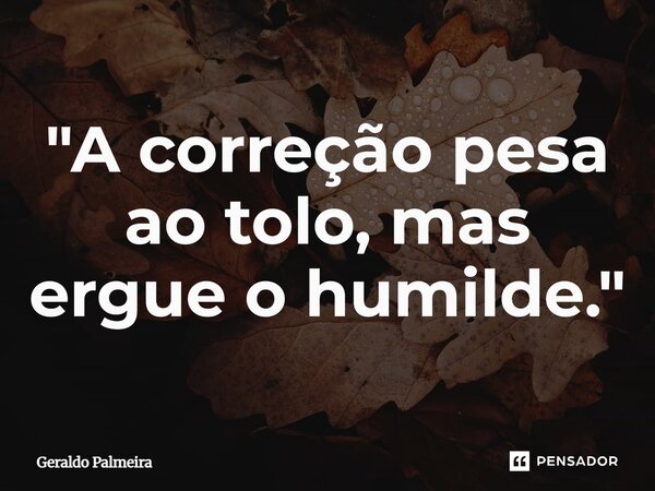 ⁠"A correção pesa ao tolo, mas ergue o humilde."... Frase de Geraldo Palmeira.