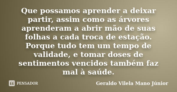 Que possamos aprender a deixar partir, assim como as árvores aprenderam a abrir mão de suas folhas a cada troca de estação. Porque tudo tem um tempo de validade... Frase de Geraldo Vilela Mano Júnior.