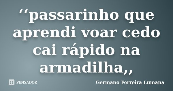 ‘‘passarinho que aprendi voar cedo cai rápido na armadilha,,... Frase de Germano Ferreira Lumana.