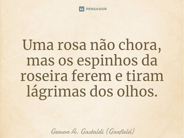 ⁠Uma rosa não chora, mas os espinhos da roseira ferem e tiram lágrimas dos olhos.... Frase de Gerson A. Gastaldi (Garfield).