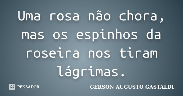 Uma rosa não chora, mas os espinhos da roseira nos tiram lágrimas.... Frase de Gerson Augusto Gastaldi.