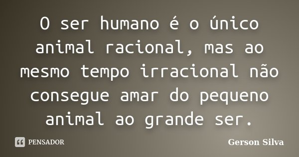 O ser humano é o único animal racional, mas ao mesmo tempo irracional não consegue amar do pequeno animal ao grande ser.... Frase de Gerson Silva.