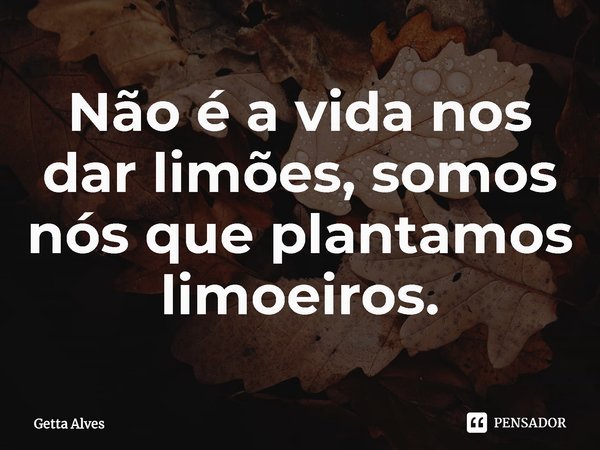⁠Não é a vida nos dar limões, somos nós que plantamos limoeiros.... Frase de Getta Alves.