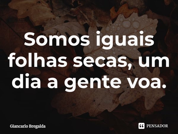 ⁠Somos iguais folhas secas, um dia a gente voa.... Frase de Giancarlo Bregalda.