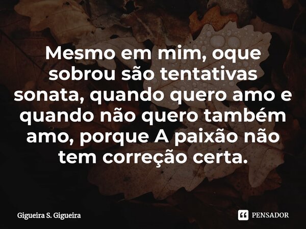 ⁠Mesmo em mim, oque sobrou são tentativas sonata, quando quero amo e quando não quero também amo, porque A paixão não tem correção certa.... Frase de Gigueira S. Gigueira.