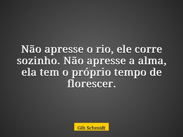 Não apresse o rio, ele corre sozinho. Não apresse a alma, ela tem o próprio tempo de florescer.... Frase de Gih Schmidt.