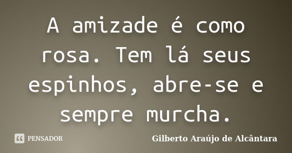 A amizade é como rosa. Tem lá seus espinhos, abre-se e sempre murcha.... Frase de Gilberto Araújo de Alcântara.