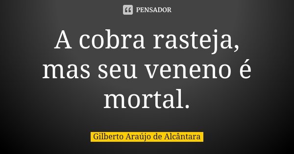 A cobra rasteja, mas seu veneno é mortal.... Frase de Gilberto Araújo de Alcântara.