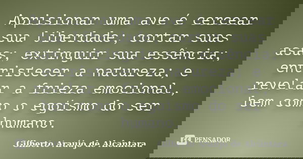 Aprisionar uma ave é cercear sua liberdade; cortar suas asas; extinguir sua essência; entristecer a natureza; e revelar a frieza emocional, bem como o egoísmo d... Frase de Gilberto Araújo de Alcântara.