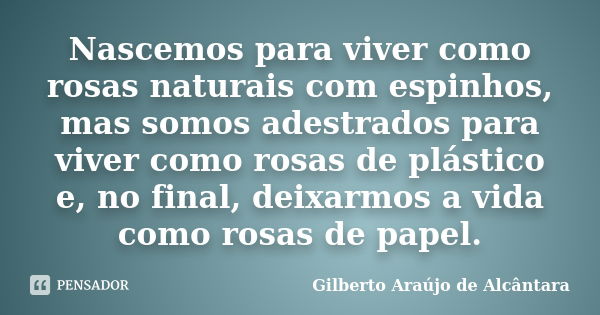 Nascemos para viver como rosas naturais com espinhos, mas somos adestrados para viver como rosas de plástico e, no final, deixarmos a vida como rosas de papel.... Frase de Gilberto Araújo de Alcântara.