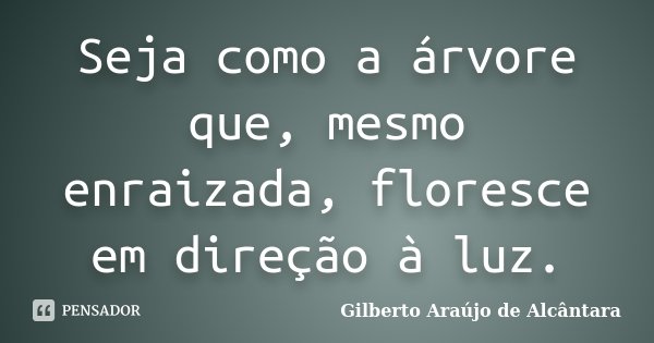 Seja como a árvore que, mesmo enraizada, floresce em direção à luz.... Frase de Gilberto Araújo de Alcântara.