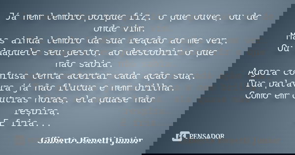 Já nem lembro porque fiz, o que ouve, ou de onde vim. Mas ainda lembro da sua reação ao me ver, Ou daquele seu gesto, ao descobrir o que não sabia. Agora confus... Frase de Gilberto Benetti Junior.