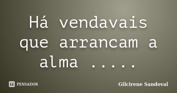 Há vendavais que arrancam a alma ........ Frase de Gilcirene Sandoval.