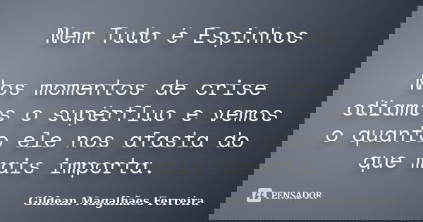 Nem Tudo é Espinhos Nos momentos de crise odiamos o supérfluo e vemos o quanto ele nos afasta do que mais importa.... Frase de Gildean Magalhães Ferreira.