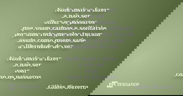 Nada mais a fazer a não ser olhar os pássaros que voam calmos e solitários por uma rota que eles traçam assim como quem sabe a liberdade de cor. Nada mais a faz... Frase de Gildes Bezerra.