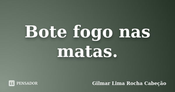 Bote fogo nas matas.... Frase de Gilmar Lima Rocha Cabeção.