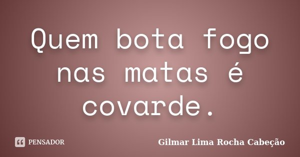 Quem bota fogo nas matas é covarde.... Frase de Gilmar Lima Rocha Cabeção.
