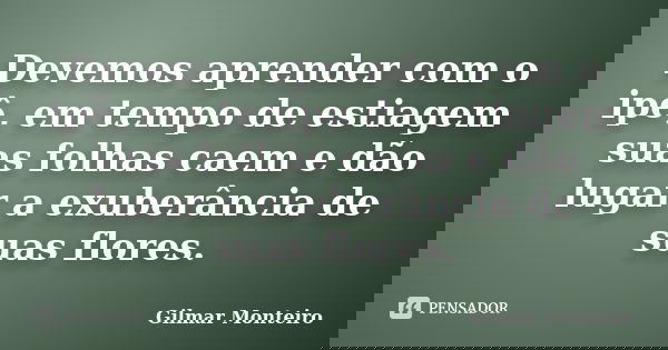 Devemos aprender com o ipê, em tempo de estiagem suas folhas caem e dão lugar a exuberância de suas flores.... Frase de Gilmar Monteiro.