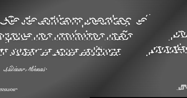 Se te atiram pedras, é porque no mínimo não podem voar a sua altura.... Frase de Gilmar Morais.