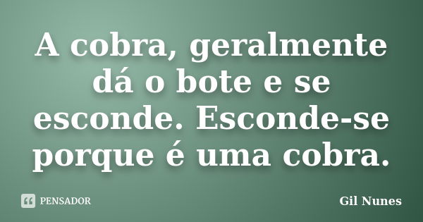 A cobra, geralmente dá o bote e se esconde. Esconde-se porque é uma cobra.... Frase de Gil Nunes.