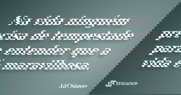 Na vida ninguém precisa de tempestade para entender que a vida é maravilhosa.... Frase de Gil Nunes.