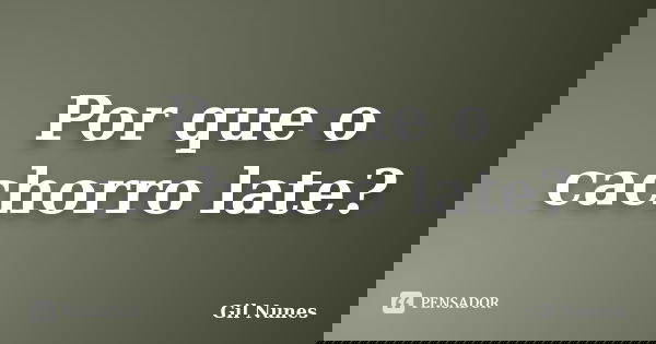 Por que o cachorro late?... Frase de Gil Nunes.