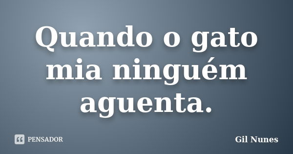 Quando o gato mia ninguém aguenta.... Frase de Gil Nunes.