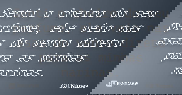 Senti o cheiro do seu perfume, ele veio nas asas do vento direto para as minhas narinas.... Frase de Gil Nunes.