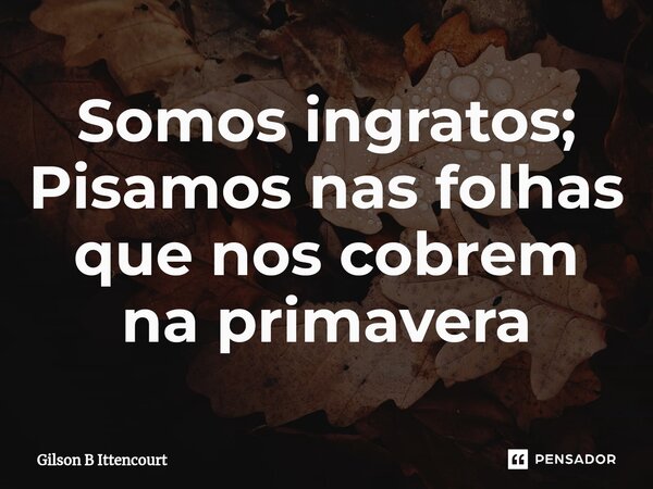 ⁠Somos ingratos; Pisamos nas folhas que nos cobrem na primavera... Frase de Gilson B Ittencourt.