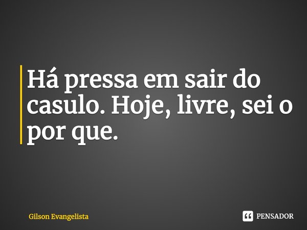 ⁠Há pressa em sair do casulo. Hoje, livre, sei o por que.... Frase de Gilson Evangelista.