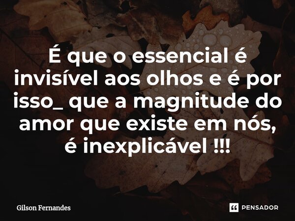 ⁠É que o essencial é invisível aos olhos e é por isso_ que a magnitude do amor que existe em nós, é inexplicável !!!... Frase de Gilson Fernandes.