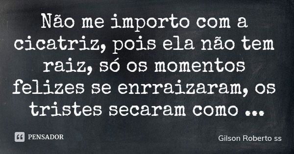 Não me importo com a cicatriz, pois ela não tem raiz, só os momentos felizes se enrraizaram, os tristes secaram como folhas no outono.... Frase de Gilson Roberto ss.