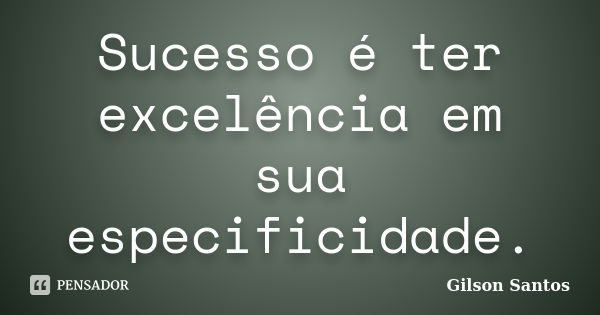 Sucesso é ter excelência em sua especificidade.... Frase de Gilson Santos.