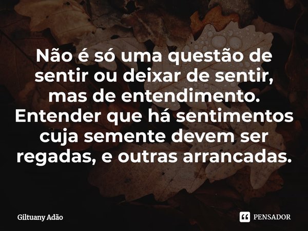 ⁠⁠Não é só uma questão de sentir ou deixar de sentir, mas de entendimento. Entender que há sentimentos cuja semente devem ser regadas, e outras arrancadas.... Frase de Giltuany Adão.