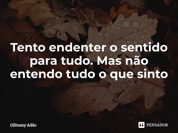 Tento endenter o sentido para tudo. Mas não entendo tudo o que sinto... Frase de Giltuany Adão.