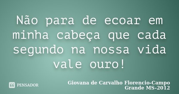 Não para de ecoar em minha cabeça que cada segundo na nossa vida vale ouro!... Frase de Giovana de Carvalho Florencio-Campo Grande -MS-2012.