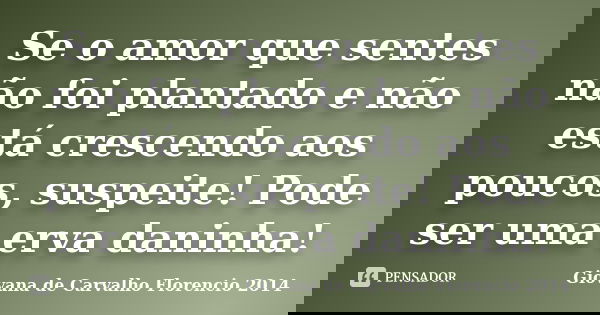 Se o amor que sentes não foi plantado e não está crescendo aos poucos, suspeite! Pode ser uma erva daninha!... Frase de Giovana de Carvalho Florencio -2014.
