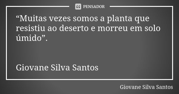 “Muitas vezes somos a planta que resistiu ao deserto e morreu em solo úmido”. Giovane Silva Santos... Frase de Giovane Silva Santos.