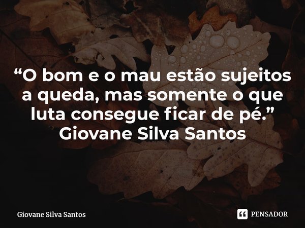 ⁠“O bom e o mau estão sujeitos a queda, mas somente o que luta consegue ficar de pé.” Giovane Silva Santos... Frase de Giovane Silva Santos.