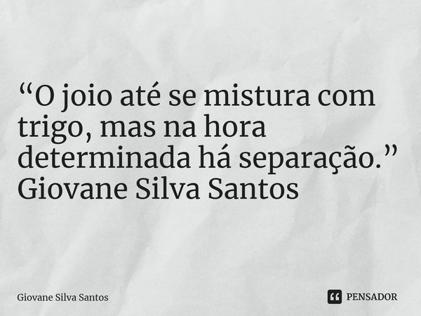 ⁠“O joio até se mistura com trigo, mas na hora determinada há separação.” Giovane Silva Santos... Frase de Giovane Silva Santos.