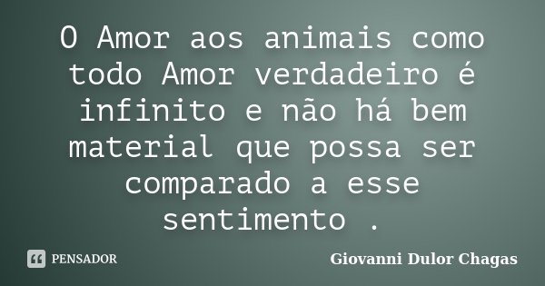 O Amor aos animais como todo Amor verdadeiro é infinito e não há bem material que possa ser comparado a esse sentimento .... Frase de Giovanni Dulor Chagas.