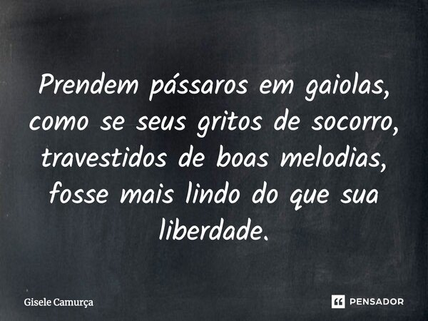 Prendem pássaros em gaiolas, como se seus gritos de socorro, travestidos de boas melodias, fosse mais lindo do que sua liberdade.... Frase de Gisele Camurça.