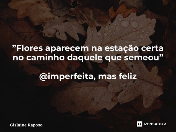 ⁠”Flores aparecem na estação certa no caminho daquele que semeou” @imperfeita, mas feliz... Frase de Gislaine Raposo.