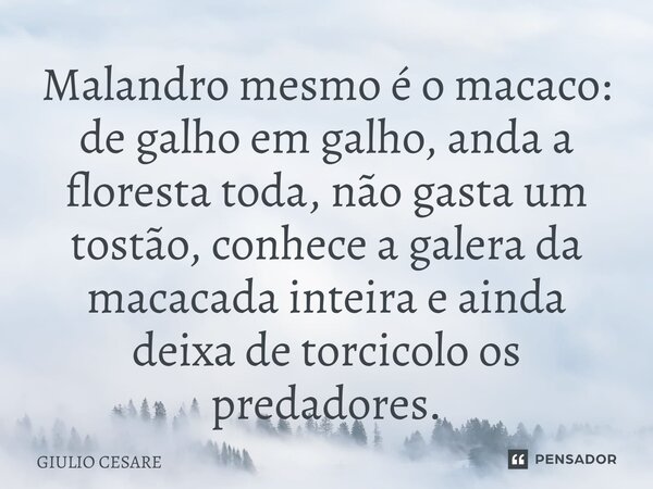 ⁠Malandro mesmo é o macaco: de galho em galho, anda a floresta toda, não gasta um tostão, conhece a galera da macacada inteira e ainda deixa de torcicolo os pre... Frase de Giulio Cesare.