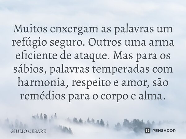 ⁠Muitos enxergam as palavras um refúgio seguro. Outros uma arma eficiente de ataque. Mas para os sábios, palavras temperadas com harmonia, respeito e amor, são ... Frase de Giulio Cesare.