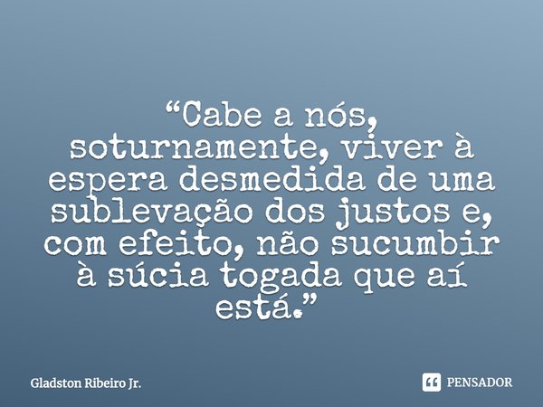 “Cabe a nós, soturnamente, viver à espera desmedida de uma sublevação dos justos e, com efeito, não sucumbir à súcia togada que aí está.” ⁠... Frase de Gladston Ribeiro Jr..