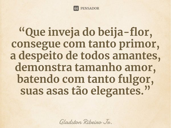 ⁠“Que inveja do beija-flor, consegue com tanto primor, a despeito de todos amantes, demonstra tamanho amor, batendo com tanto fulgor, suas asas tão elegantes.”... Frase de Gladston Ribeiro Jr..