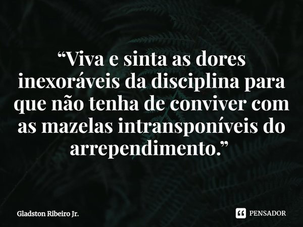 “Viva e sinta as dores inexoráveis da disciplina para que não tenha de conviver com as mazelas intransponíveis do arrependimento.” ⁠... Frase de Gladston Ribeiro Jr..